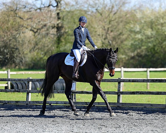 BD Prelim Test 5 Q & Short Arena Series with Trailblazer first round qualifiers - 5th April 2026 - Swallowfield Equestrian