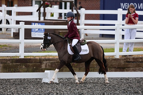Carefree & Casual Evening Dressage - 20th May 2026 - Solihull Riding Club